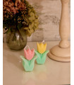 Tulip Scented Candle